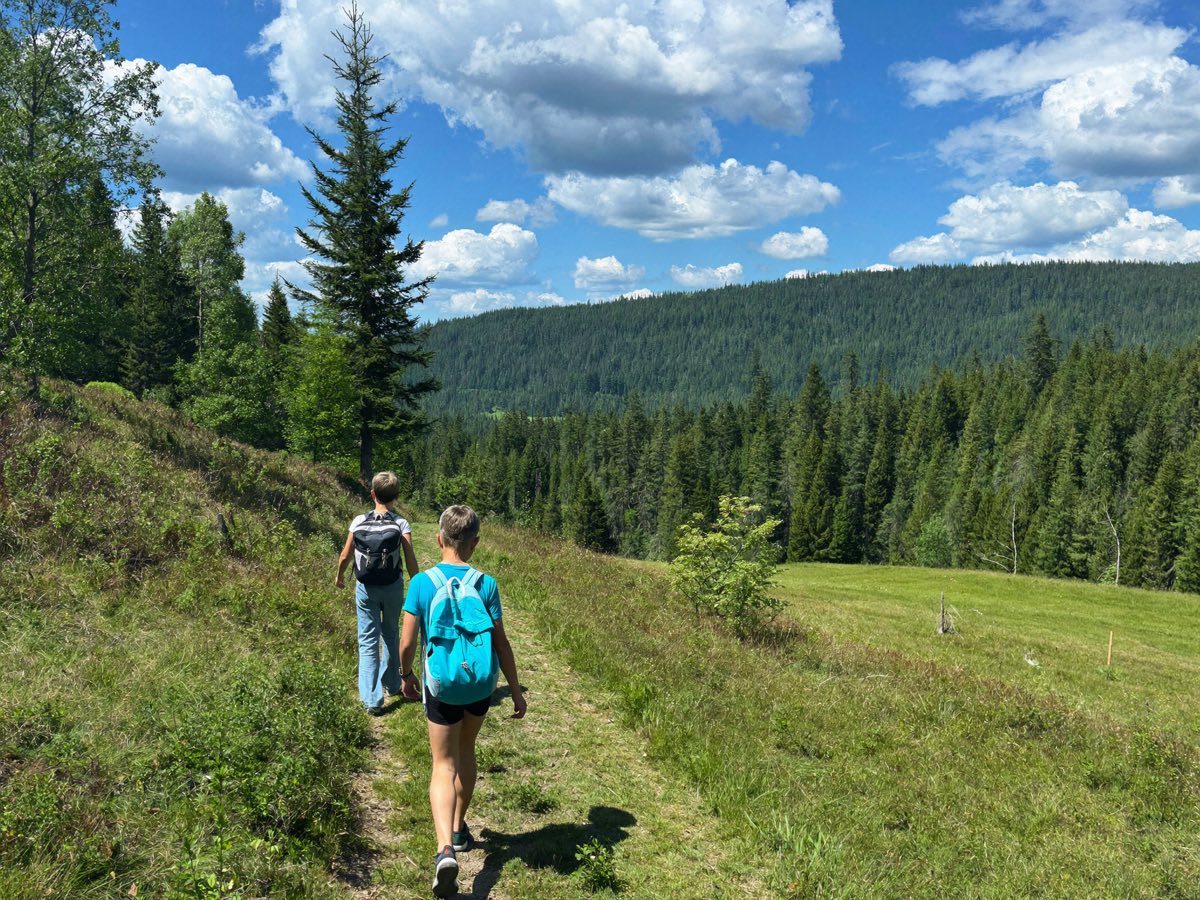 Zwei Kinder auf einem Waldweg im Harz